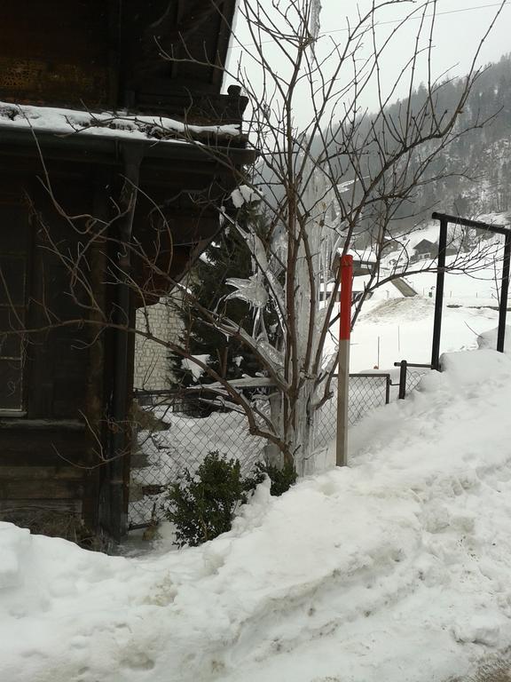 JaunChalet Ericaアパートメント エクステリア 写真